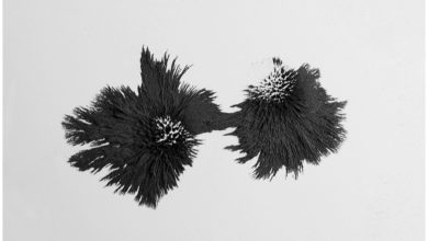 Photo of Minimal Magnetism Art by Ling Meng