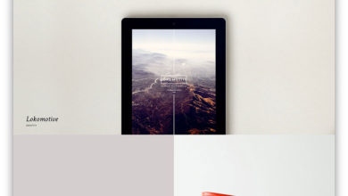 Photo of Lobo (WordPress Portfolio Theme)