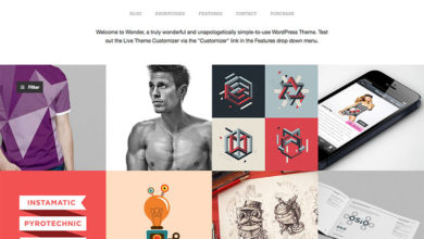 Photo of Wonder (WordPress Portfolio Theme)
