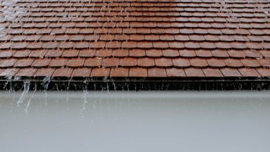 Photo of How to Choose the Right Roof For Your House