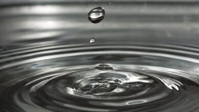 Photo of The Importance of Water Restoration