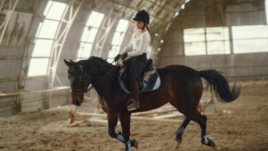 Photo of 6 Horseback Riding Tips for Beginners