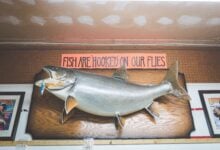 Photo of Preserving the Catch: A Guide to Getting Your Trophy Fish Mounted
