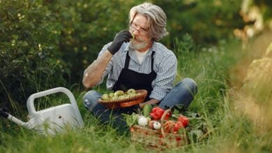 Photo of Time-Saving Solutions Every Busy Allotment Gardener Should Know