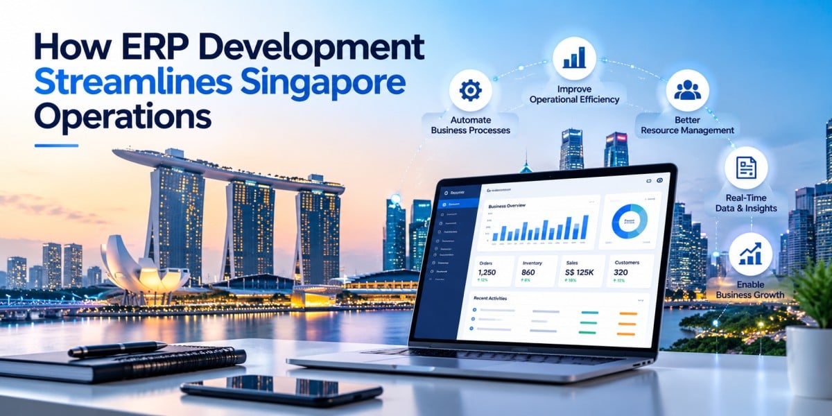 ERP Development