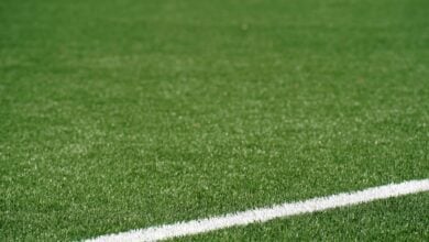 Photo of Artificial Turf vs Natural Grass: Which Is Better?